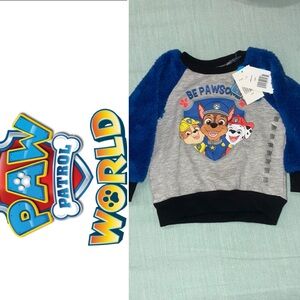 Paw Patrol Be Pawsome